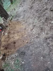 WhatsApp-Image-2021-03-16-at-18.25.03