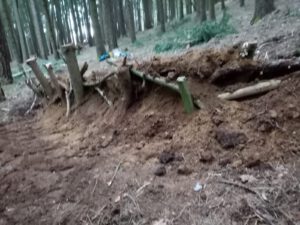 WhatsApp-Image-2021-03-16-at-18.25.11