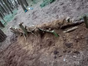 WhatsApp-Image-2021-03-16-at-18.25.19